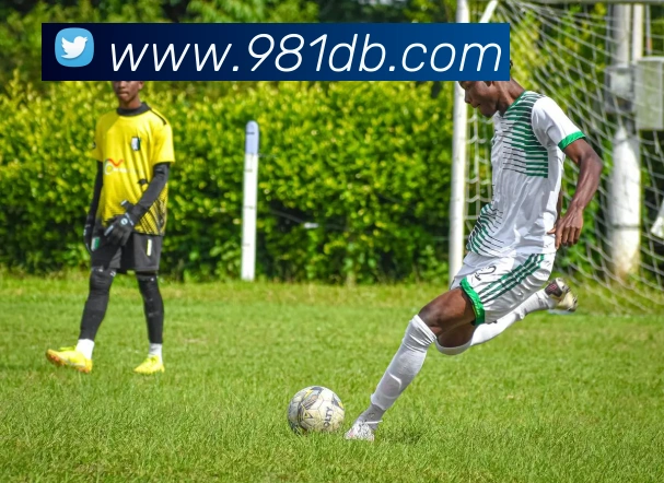 全网担保网全站App 全网担保网全站App